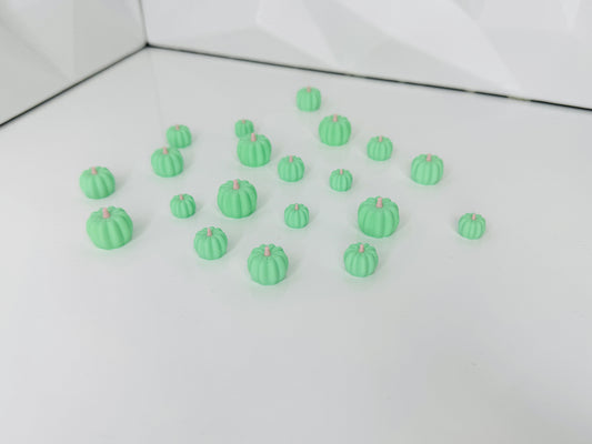 Mini Kürbisse Hellgrün